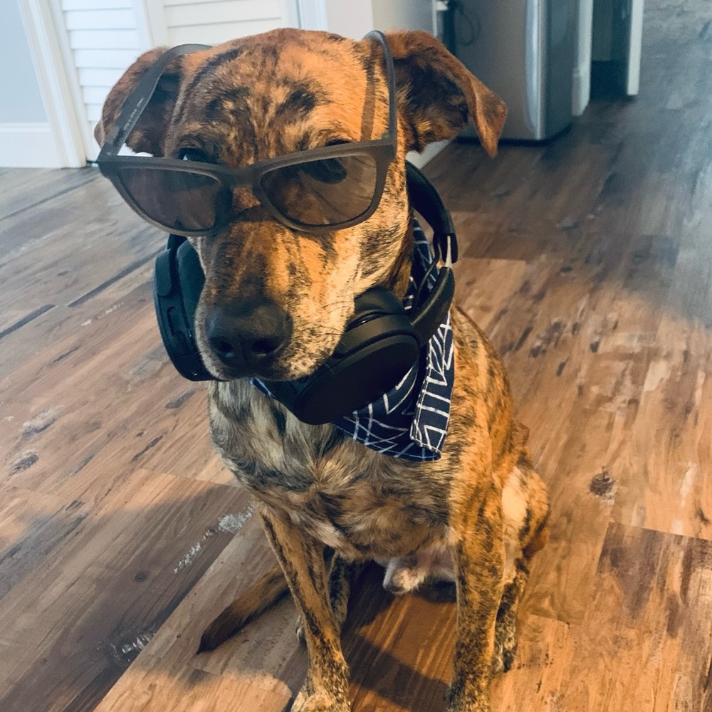 Meet your Posher, Katie